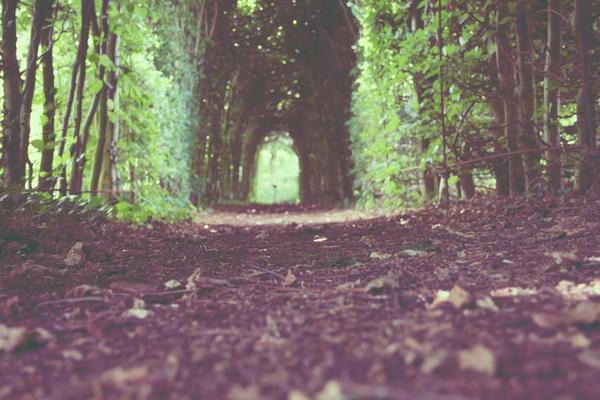 叮当网漫画在线观看 - 生活小技巧